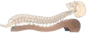 backrack-spine-e1429480305348-min