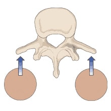 nodules_cross_sectionW-min